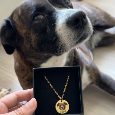 CapeGlow® Custom Pet Photo Necklace – Carry Their Love With You Always