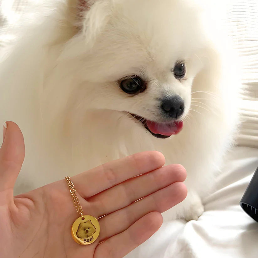 CapeGlow® Custom Pet Photo Necklace – Carry Their Love With You Always
